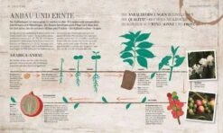 Das Kaffeebuch - Sorten, Anbaugebiete, Barista-Wissen Und Rezepte Aus Der Ganzen Welt 18 Das Kaffeebuch - Sorten, Anbaugebiete, Barista-Wissen Und Rezepte Aus Der Ganzen Welt -Eureka Verkaufs Shop Das Kaffeebuch Anbau Ernte7 1280x1280