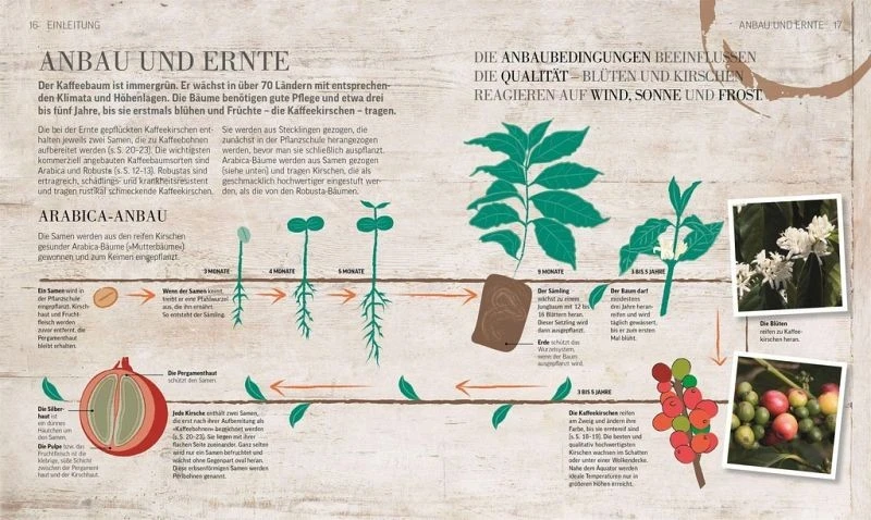 Das Kaffeebuch - Sorten, Anbaugebiete, Barista-Wissen Und Rezepte Aus Der Ganzen Welt 10 Das Kaffeebuch - Sorten, Anbaugebiete, Barista-Wissen Und Rezepte Aus Der Ganzen Welt – Bild 8