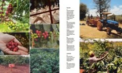 Die Große Kaffeebibel: Geschichte, Anbau, Sorten, Verarbeitung, Rezepte, Latte Art, Zubereitung -Eureka Verkaufs Shop Die Kaffeebibel online kaufen 1280x1280