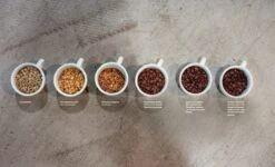 Die Große Kaffeebibel: Geschichte, Anbau, Sorten, Verarbeitung, Rezepte, Latte Art, Zubereitung -Eureka Verkaufs Shop Kaffeebibel als Geschenk 1280x1280